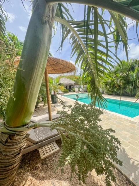 Puur Bonaire Boetiekhotel Belnem Экстерьер фото
